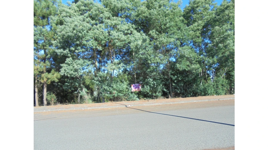 Terreno para Venda em Águeda e Borralha Foto 2