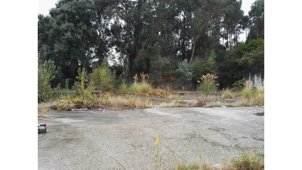 Terreno para Venda em Custóias, Leça do Balio e Guifões Foto 7