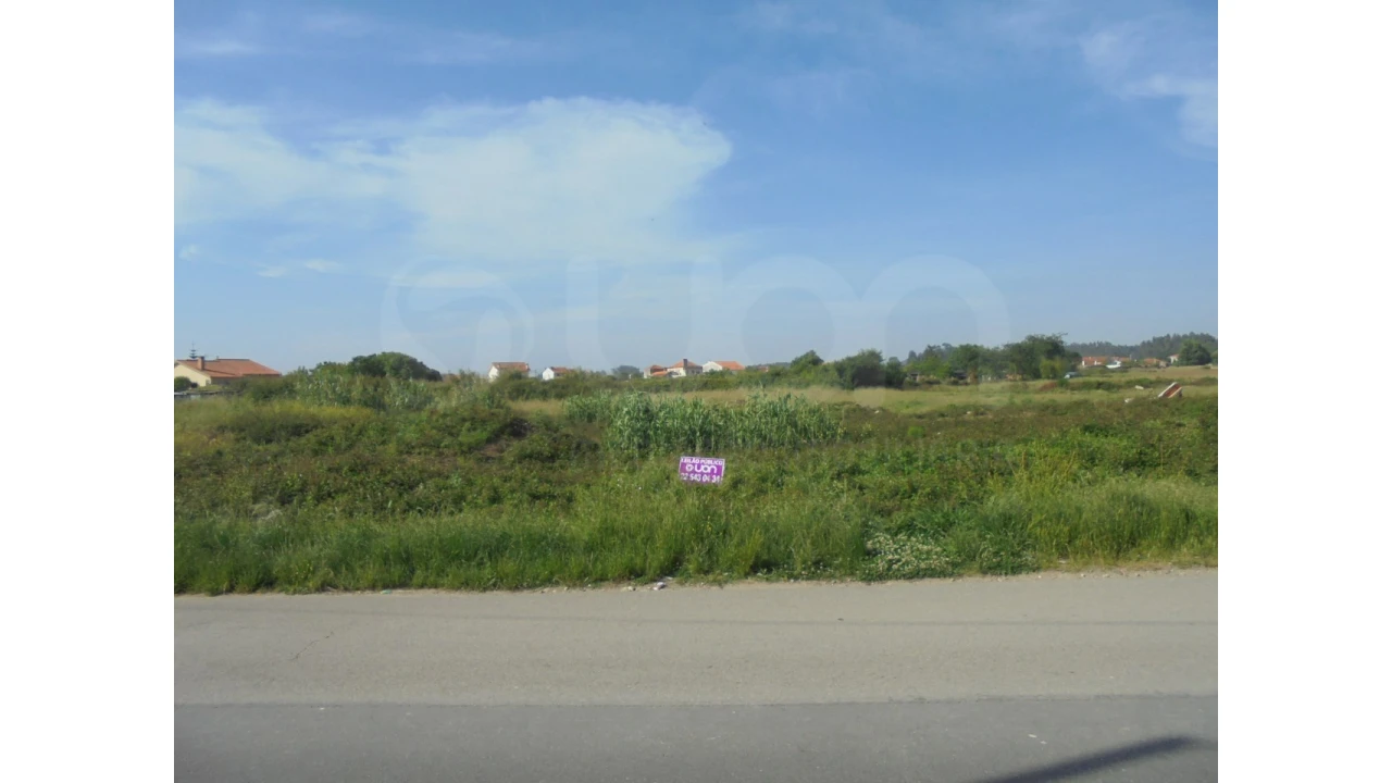 Terreno Agricola ou Rústico para Venda em Cacia Foto 2