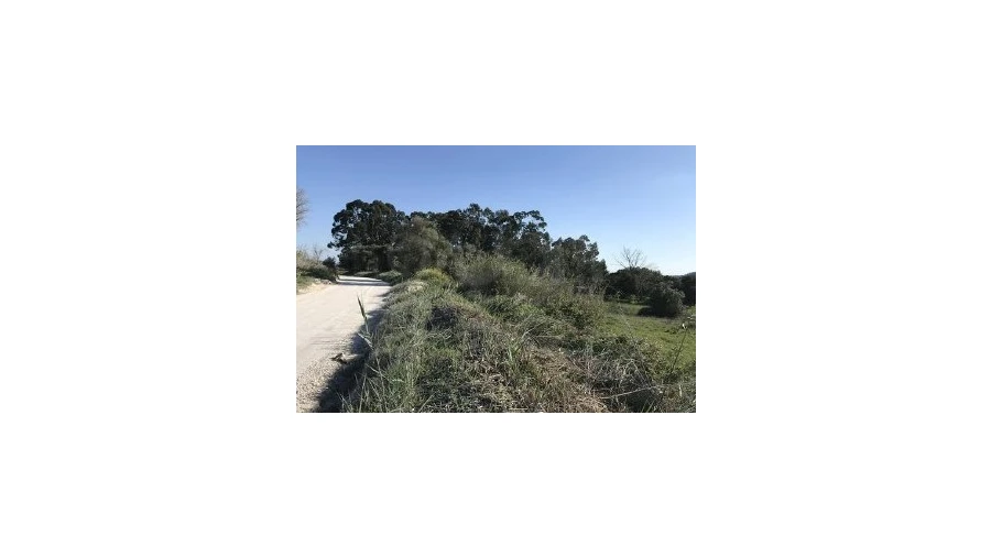 Terreno Agricola ou Rústico para Venda em Vale de Santarem Foto 7