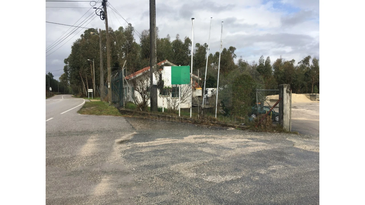 Terreno Agricola ou Rústico para Venda em Pelariga Foto 3