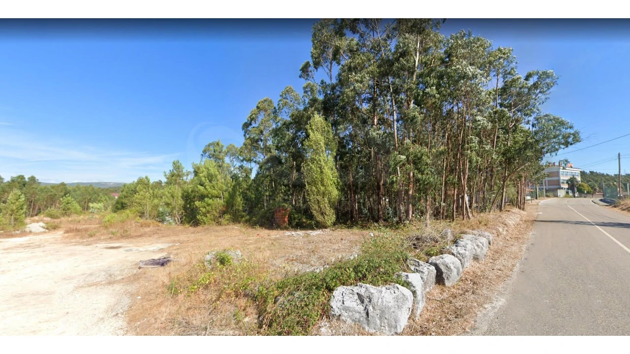 Terreno Agricola ou Rústico para Venda em Pelariga Foto 2