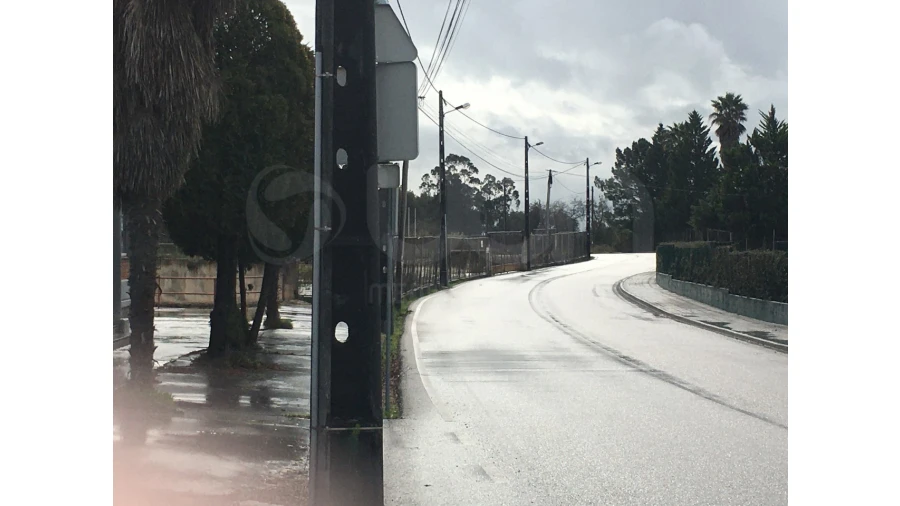 Terreno Agricola ou Rústico para Venda em Pelariga Foto 4