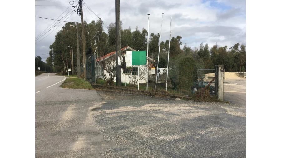 Terreno Agricola ou Rústico para Venda em Pelariga Foto 3