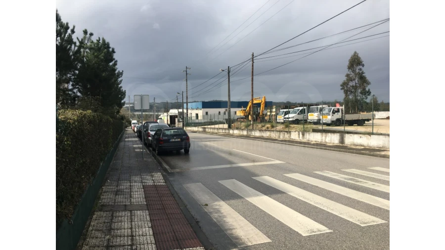 Terreno Agricola ou Rústico para Venda em Pelariga Foto 5