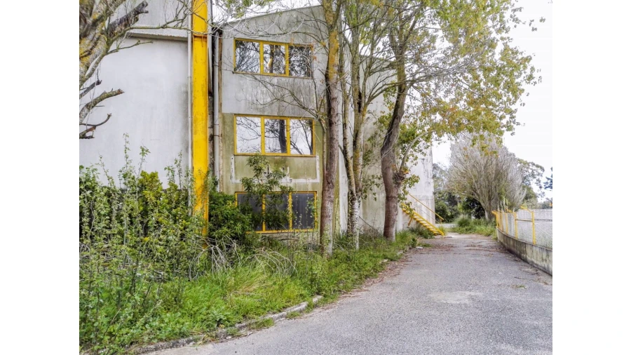 Armazém para Venda em Santa Maria e São Miguel, São Martinho, São Pedro Penaferrim Foto 22
