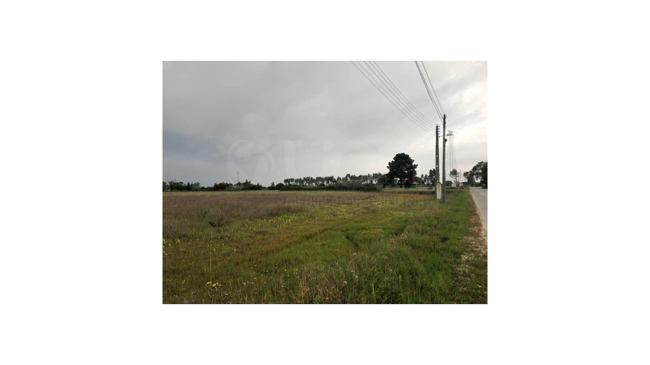 Terreno Agricola ou Rústico para Venda em Santo Estêvão Foto 12