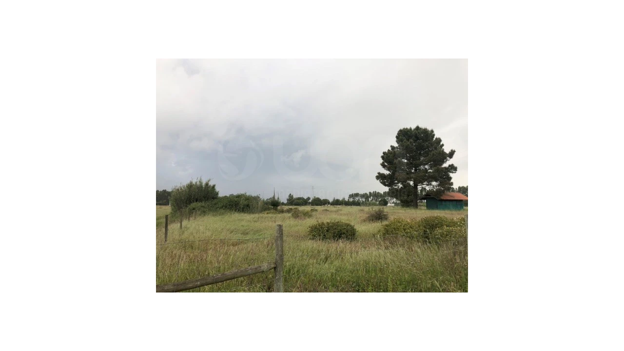 Terreno Agricola ou Rústico para Venda em Santo Estêvão Foto 13