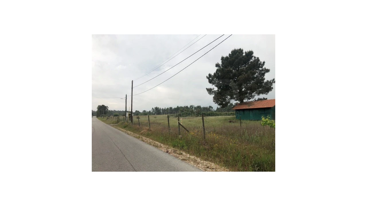 Terreno Agricola ou Rústico para Venda em Santo Estêvão Foto 15