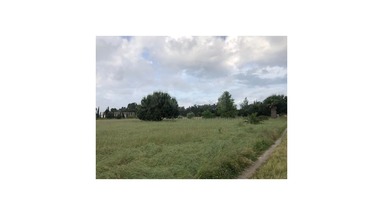 Terreno Agricola ou Rústico para Venda em Santo Estêvão Foto 2