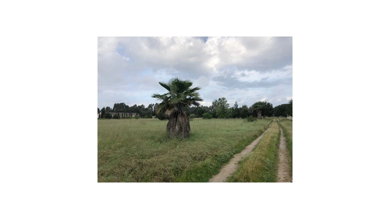 Terreno Agricola ou Rústico para Venda em Santo Estêvão Foto 1