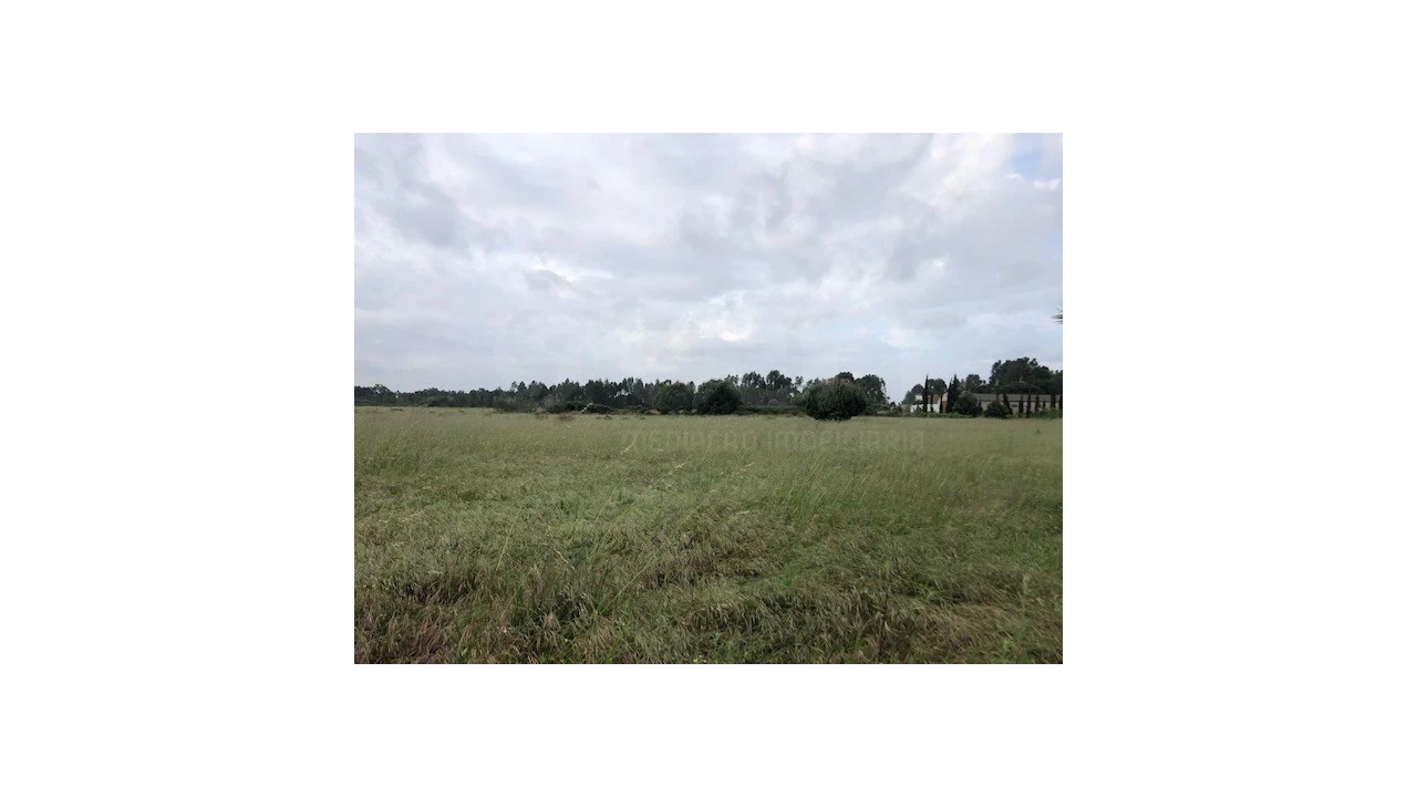 Terreno Agricola ou Rústico para Venda em Santo Estêvão Foto 3