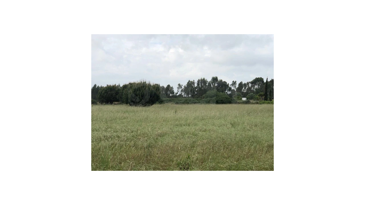 Terreno Agricola ou Rústico para Venda em Santo Estêvão Foto 9
