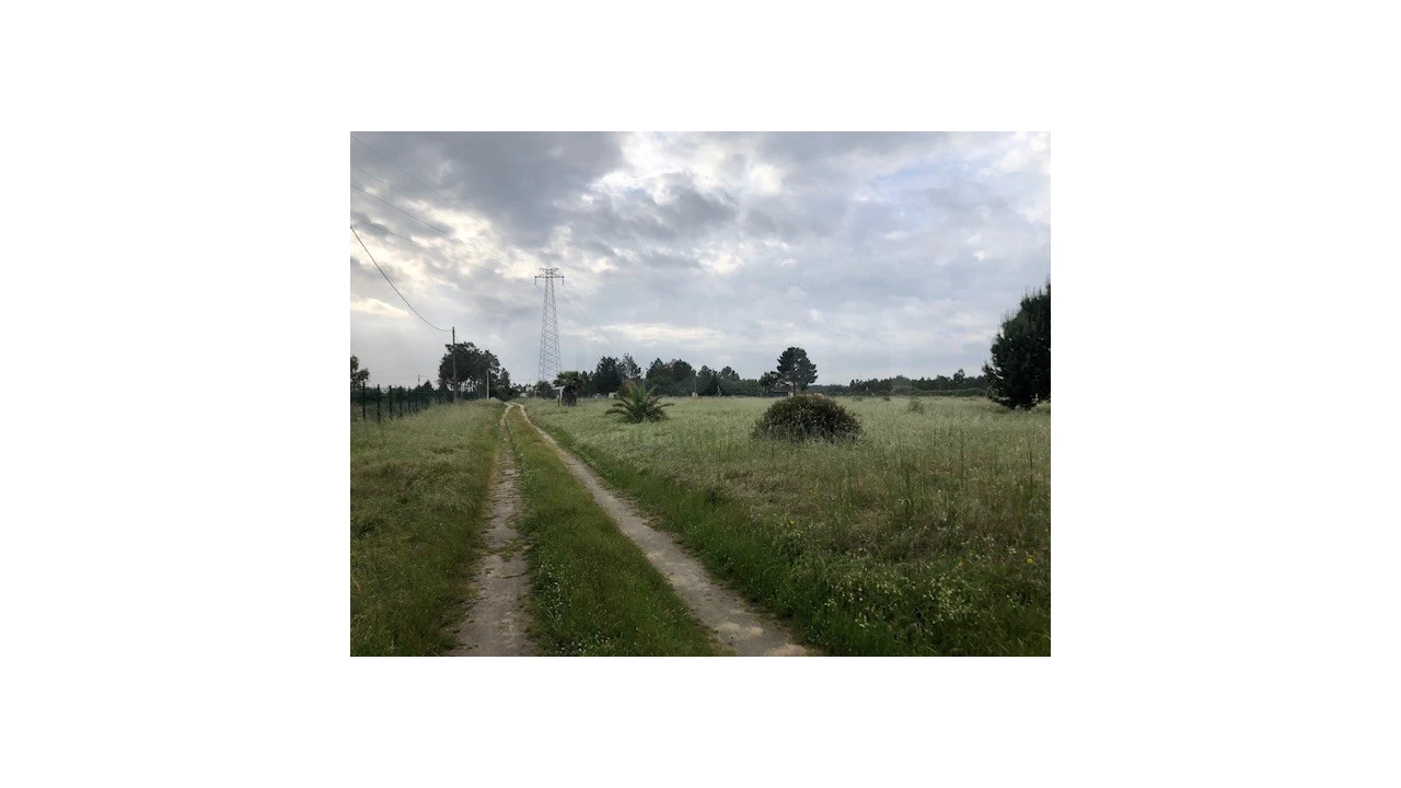 Terreno Agricola ou Rústico para Venda em Santo Estêvão Foto 10
