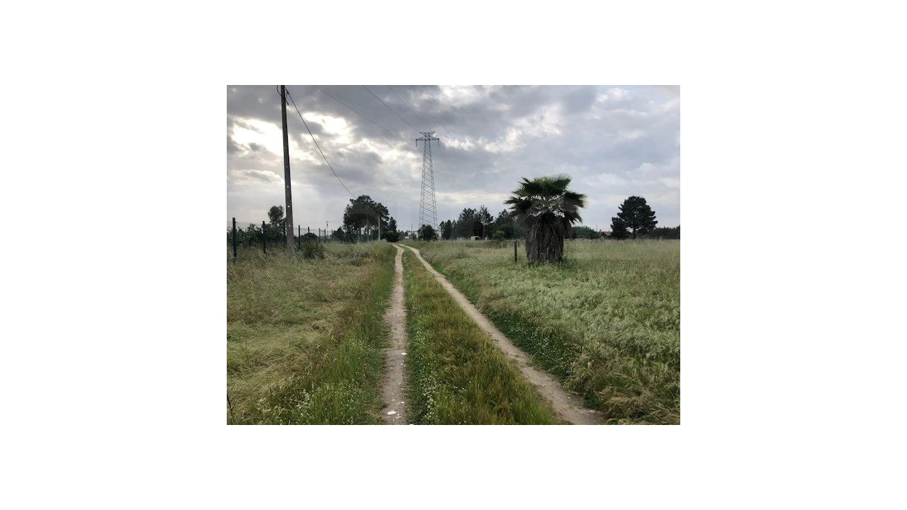 Terreno Agricola ou Rústico para Venda em Santo Estêvão Foto 11