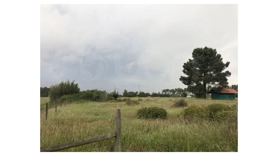 Terreno Agricola ou Rústico para Venda em Santo Estêvão Foto 13