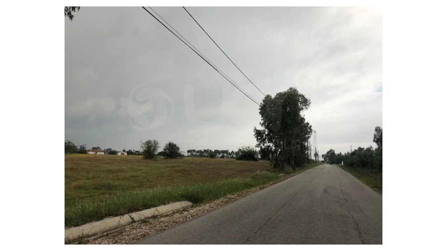 Terreno Agricola ou Rústico para Venda em Santo Estêvão Foto 16