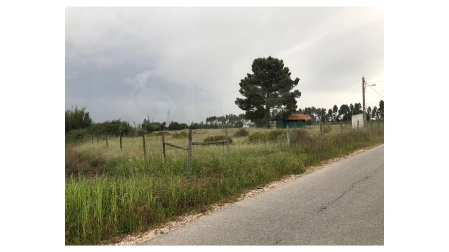 Terreno Agricola ou Rústico para Venda em Santo Estêvão Foto 14
