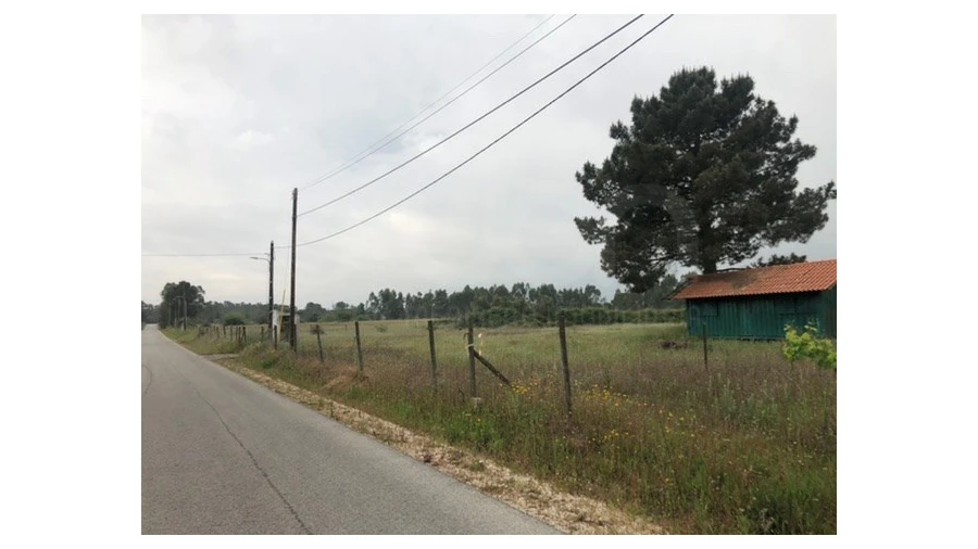 Terreno Agricola ou Rústico para Venda em Santo Estêvão Foto 15
