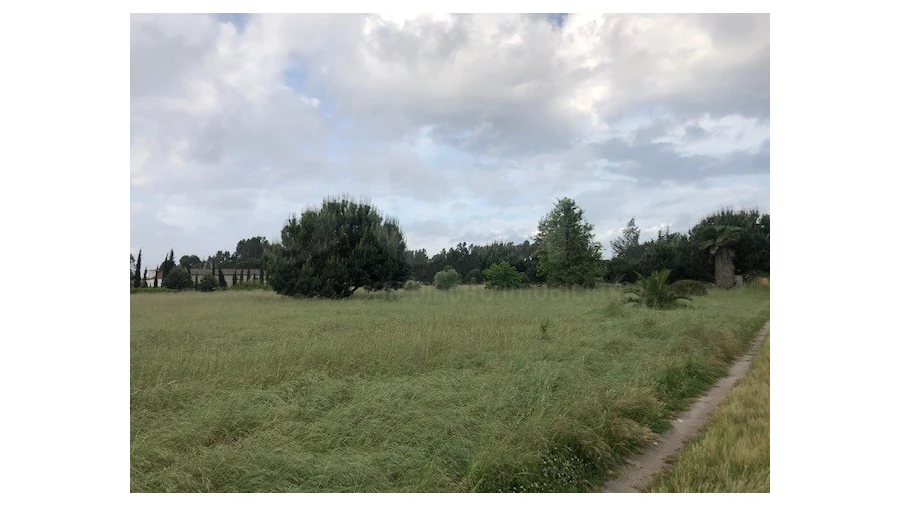 Terreno Agricola ou Rústico para Venda em Santo Estêvão Foto 2