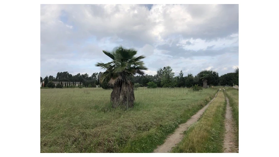 Terreno Agricola ou Rústico para Venda em Santo Estêvão Foto 1
