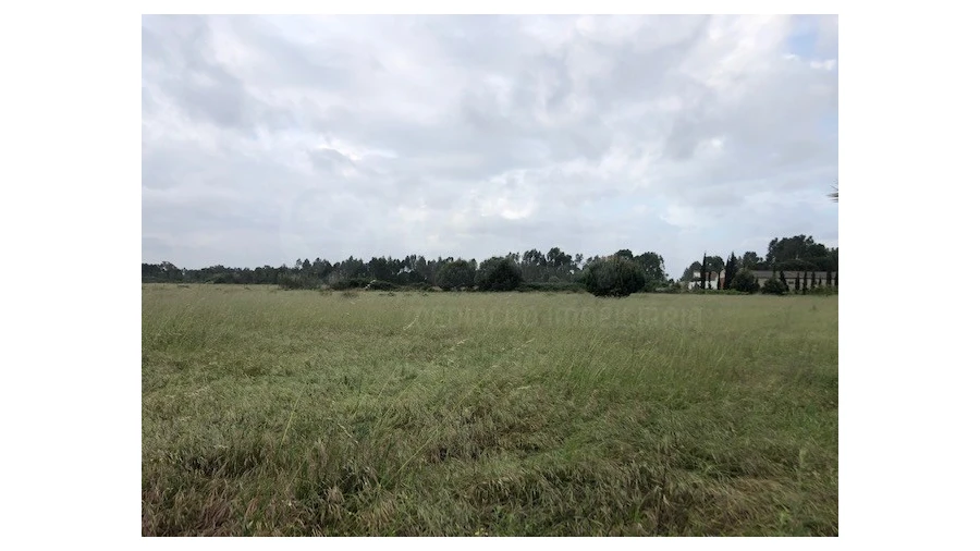 Terreno Agricola ou Rústico para Venda em Santo Estêvão Foto 3