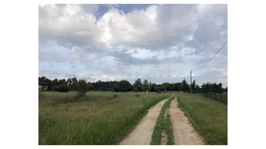Terreno Agricola ou Rústico para Venda em Santo Estêvão Foto 4