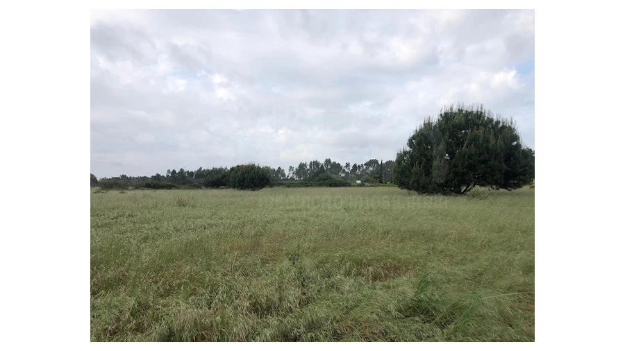 Terreno Agricola ou Rústico para Venda em Santo Estêvão Foto 7
