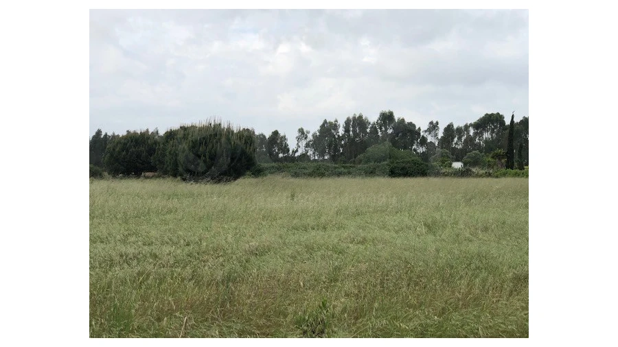 Terreno Agricola ou Rústico para Venda em Santo Estêvão Foto 9