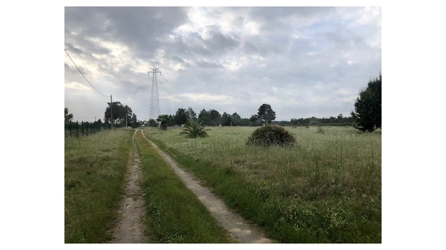 Terreno Agricola ou Rústico para Venda em Santo Estêvão Foto 10