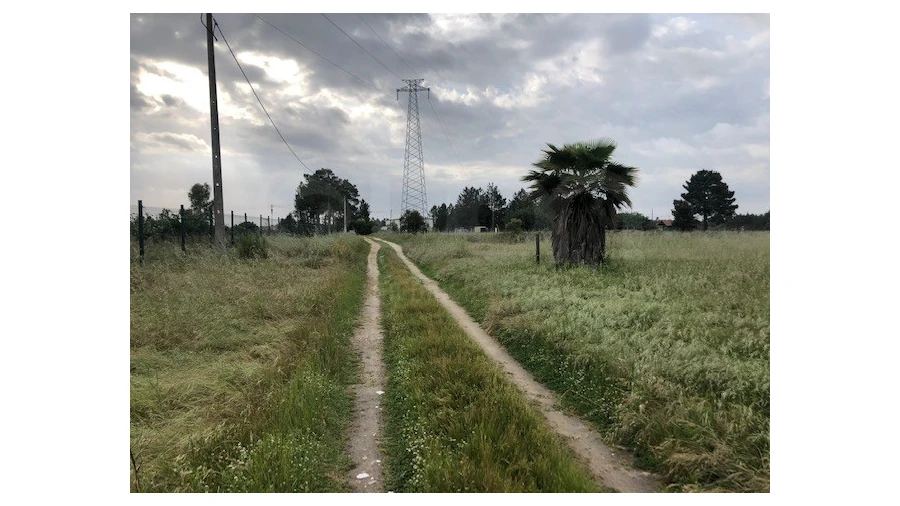 Terreno Agricola ou Rústico para Venda em Santo Estêvão Foto 11