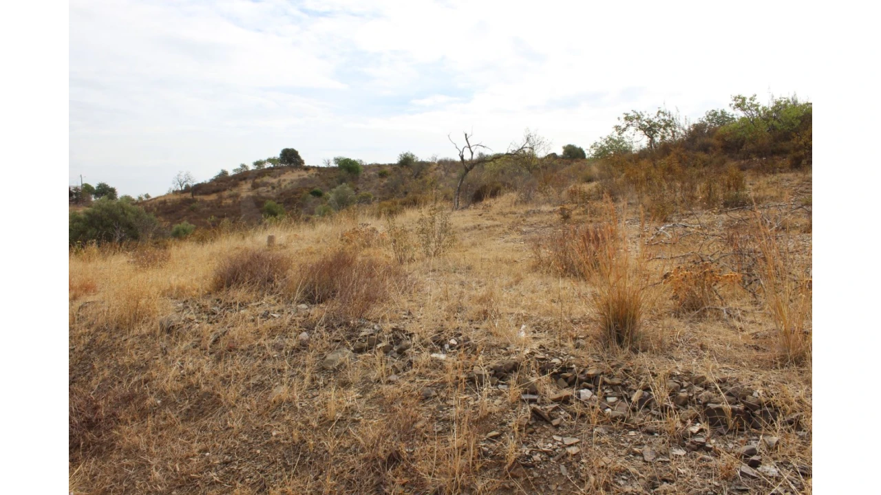Terreno Agricola ou Rústico para Venda em Castro Marim Foto 3