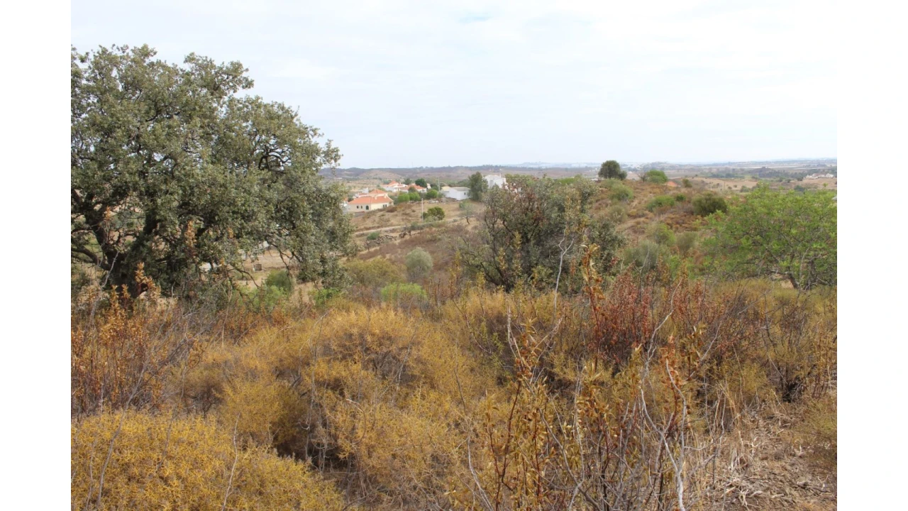 Terreno Agricola ou Rústico para Venda em Castro Marim Foto 12