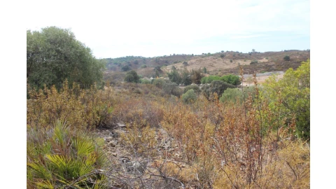 Terreno Agricola ou Rústico para Venda em Castro Marim