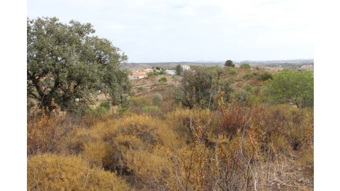 Terreno Agricola ou Rústico para Venda em Castro Marim