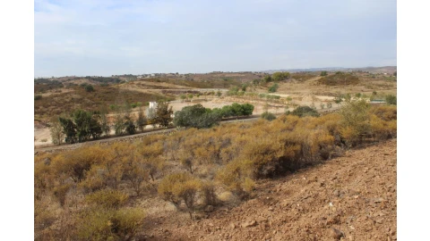 Terreno Agricola ou Rústico para Venda em Castro Marim