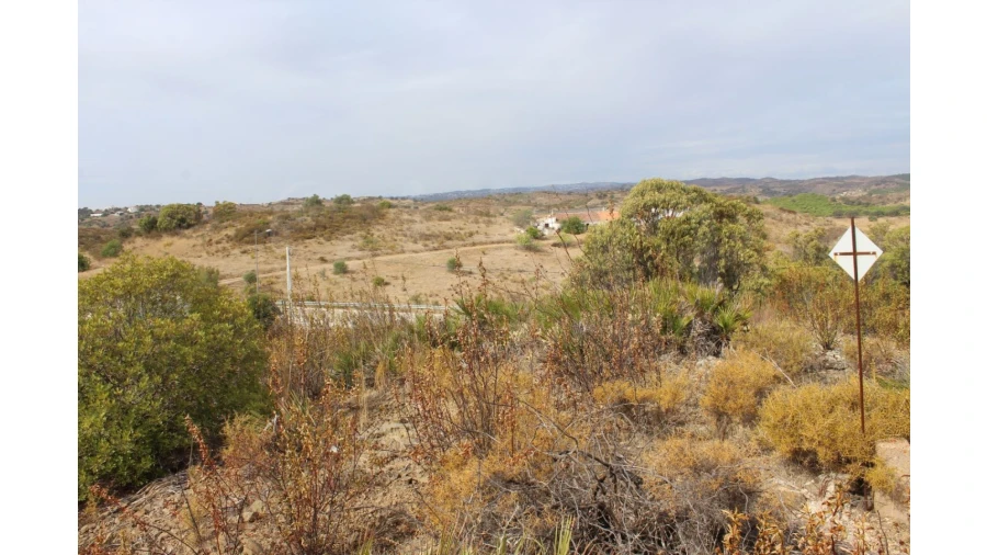 Terreno Agricola ou Rústico para Venda em Castro Marim Foto 8