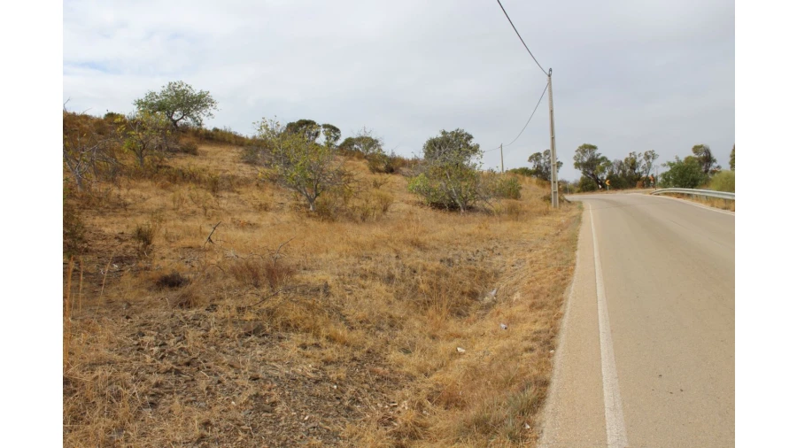 Terreno Agricola ou Rústico para Venda em Castro Marim Foto 10