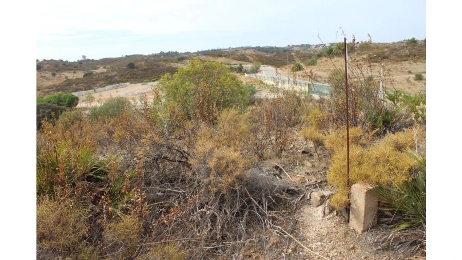 Terreno Agricola ou Rústico para Venda em Castro Marim Foto 11