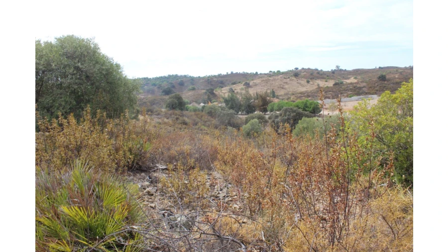 Terreno Agricola ou Rústico para Venda em Castro Marim Foto 9