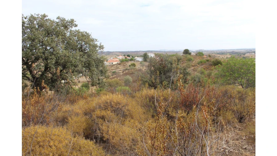 Terreno Agricola ou Rústico para Venda em Castro Marim Foto 12