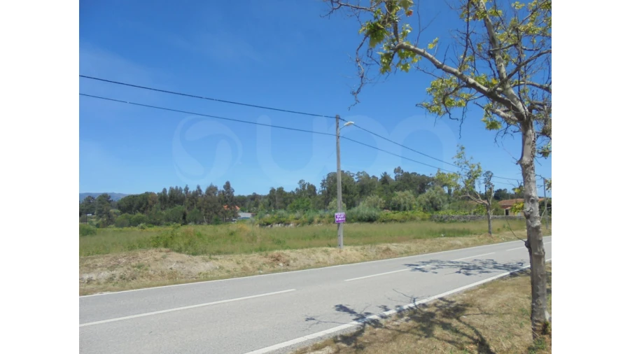 Terreno Agricola ou Rústico para Venda em Canas de Santa Maria Foto 4