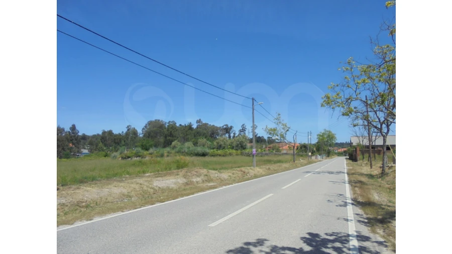 Terreno Agricola ou Rústico para Venda em Canas de Santa Maria Foto 8
