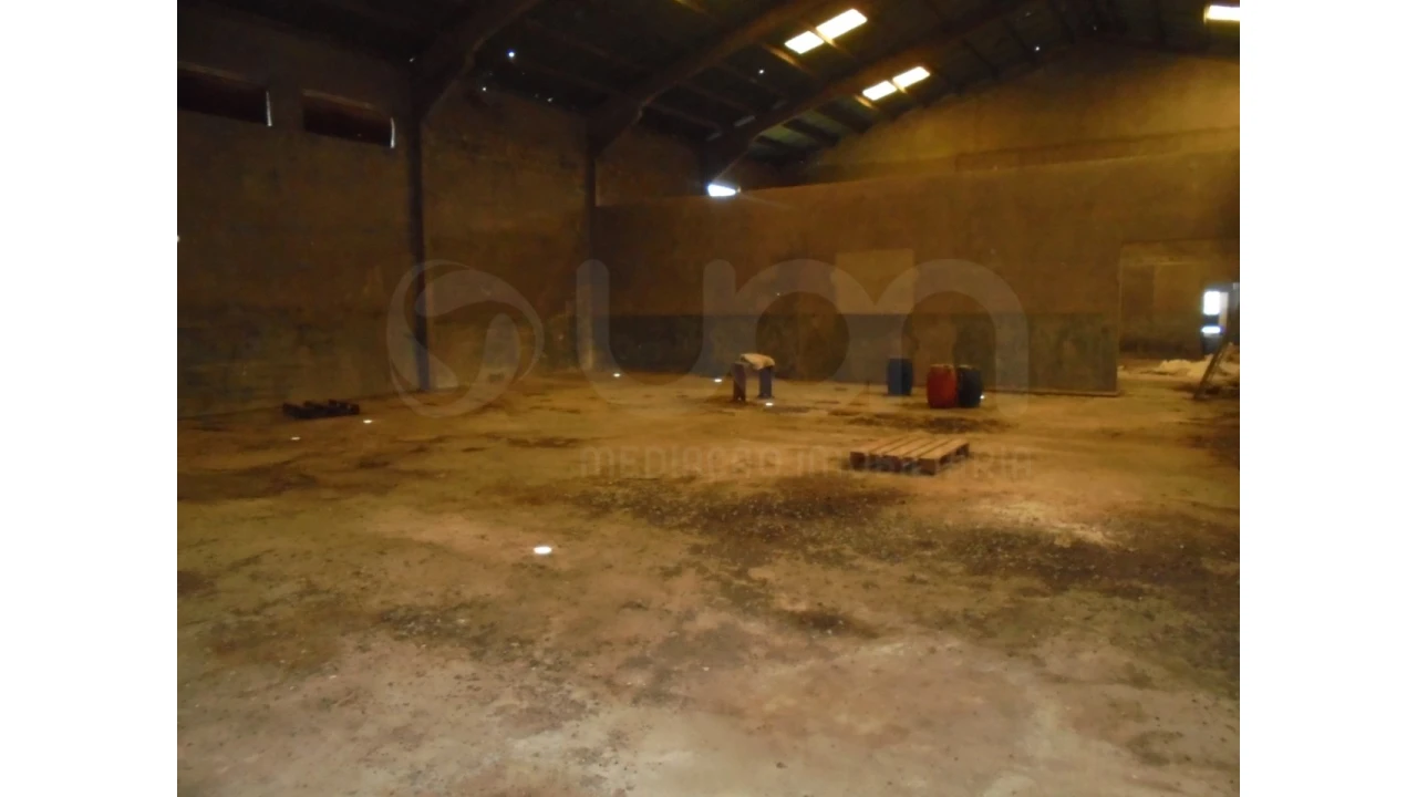 Armazém para Venda em Campo de Besteiros Foto 6