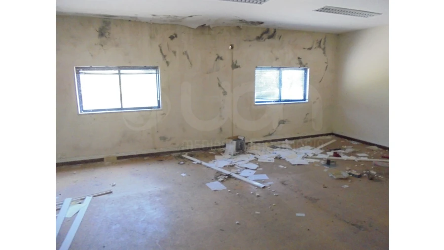 Armazém para Venda em Campo de Besteiros Foto 4