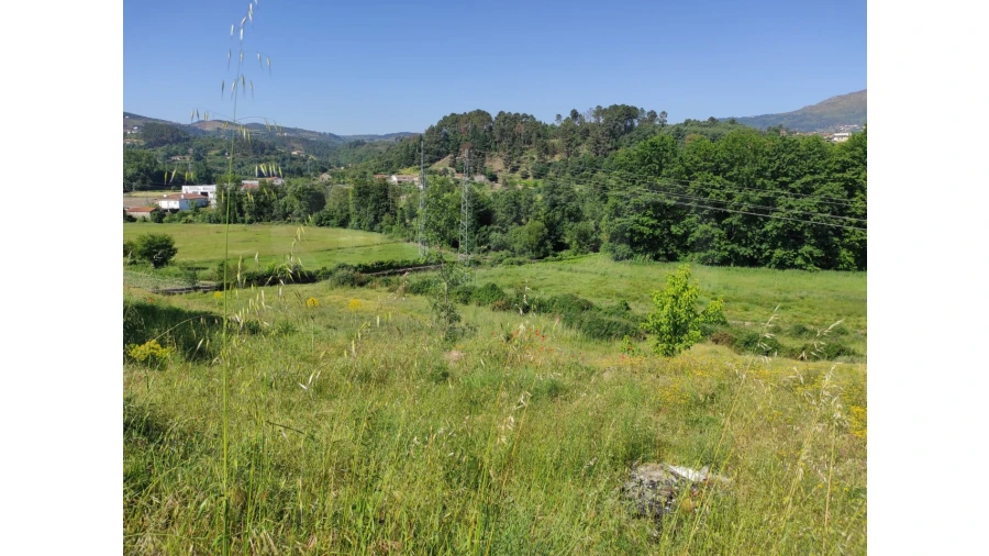 Terreno Agricola ou Rústico para Venda em Nossa Senhora da Conceição, São Pedro e São Dinis Foto 1