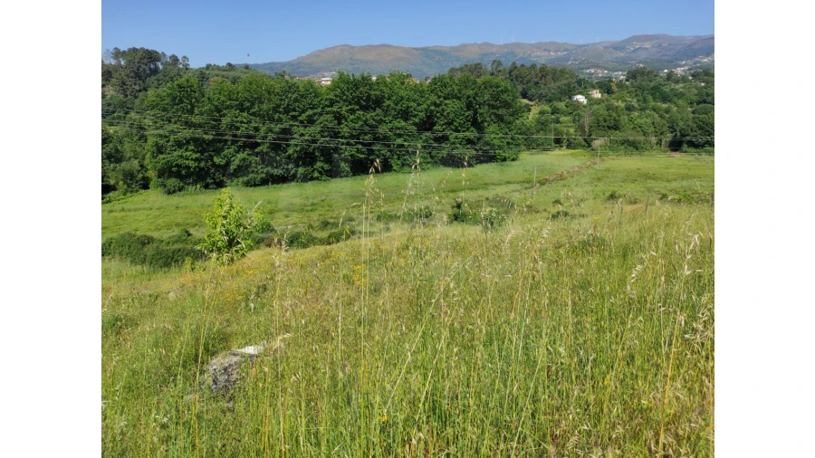 Terreno Agricola ou Rústico para Venda em Nossa Senhora da Conceição, São Pedro e São Dinis Foto 3