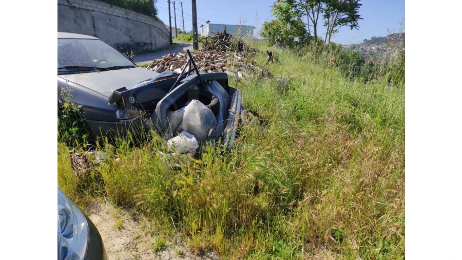 Terreno Agricola ou Rústico para Venda em Nossa Senhora da Conceição, São Pedro e São Dinis Foto 5