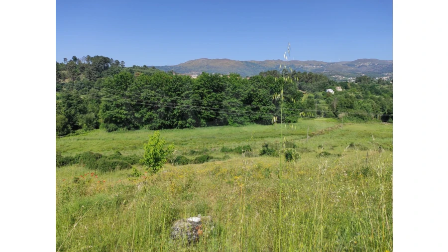 Terreno Agricola ou Rústico para Venda em Nossa Senhora da Conceição, São Pedro e São Dinis Foto 6
