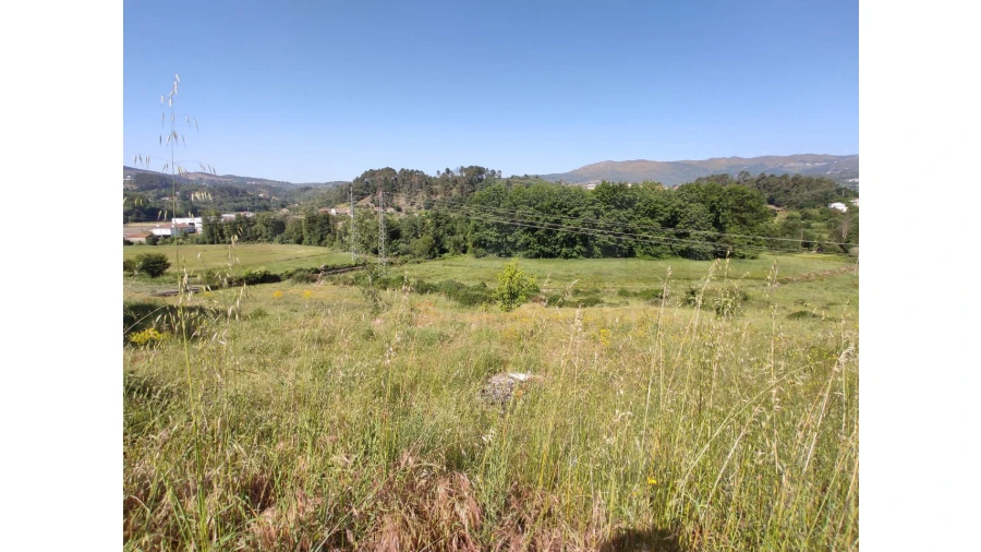 Terreno Agricola ou Rústico para Venda em Nossa Senhora da Conceição, São Pedro e São Dinis Foto 7